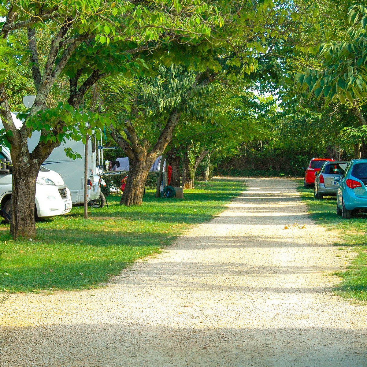 Camp-site's pitches